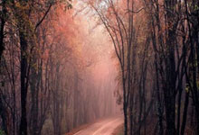 塞维利亚主场战平南特，控场优势明显