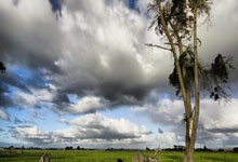 曼城在客场大胜多特蒙德，发挥出色->曼城客场轻取多特，表现抢眼