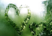 猛龙主帅解雇，球队局势陷入困境