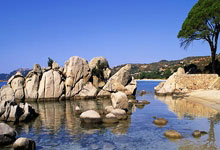 切尔西防线稳固，连续三轮不失球